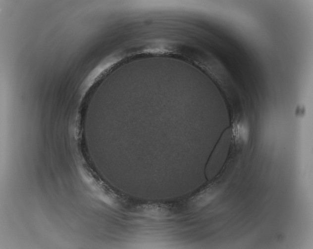 X0000113330724200909141426