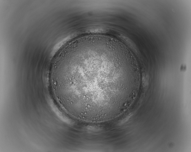 X0000113330725200909141426