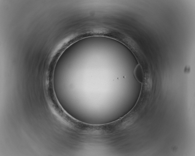 X0000113330726200909141426