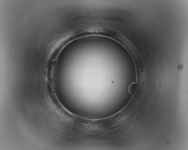 X0000113330727200909141426