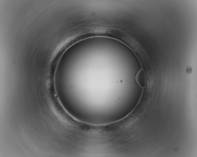 X0000113330728200909141426