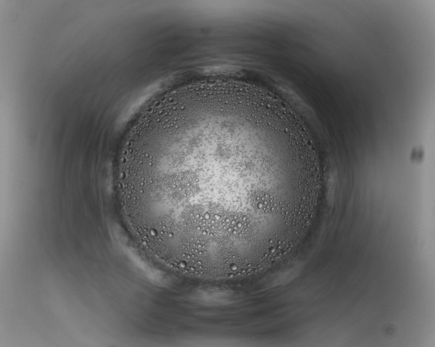 X0000113330729200909141426