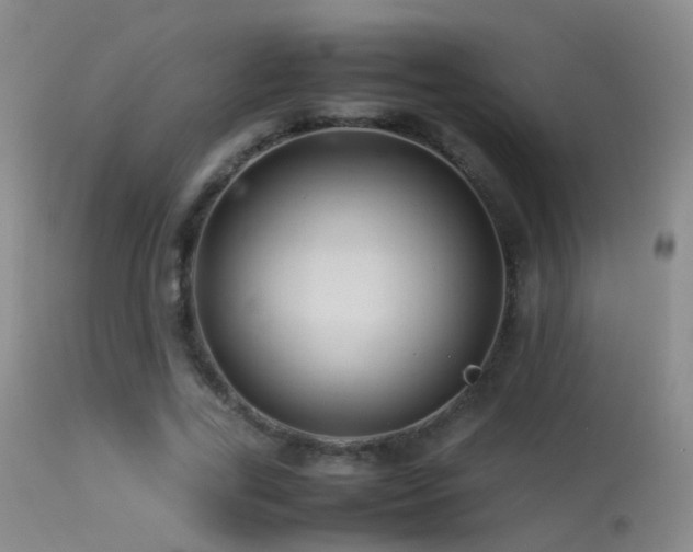 X0000113330731200909141426