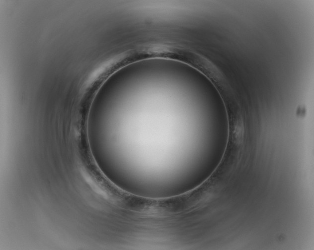 X0000113330732200909141426