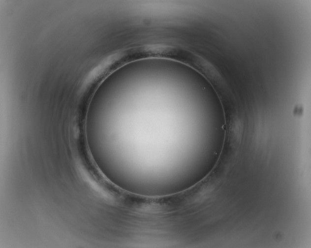 X0000113330734200909141426
