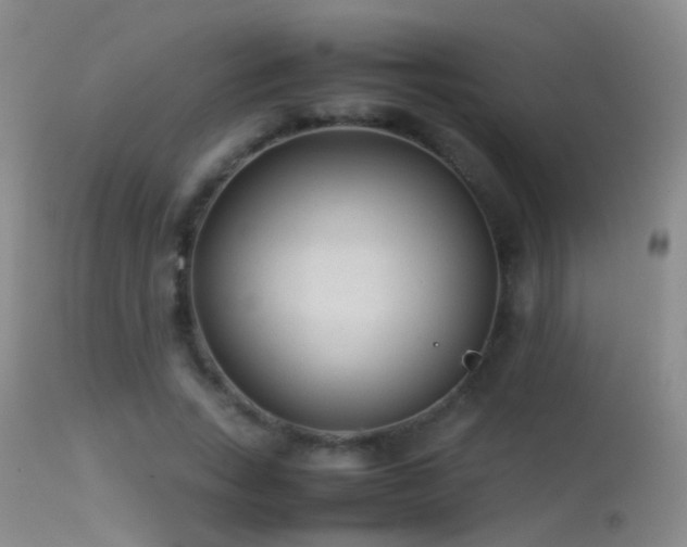 X0000113330735200909141426