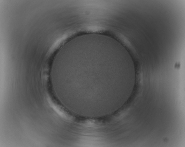 X0000113330736200909141426