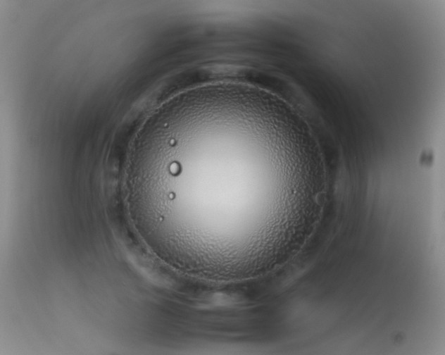 X0000113330737200909141426