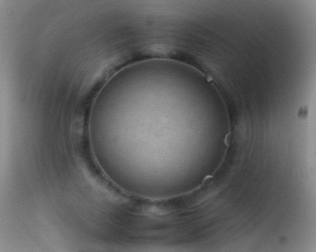 X0000113330739200909141426