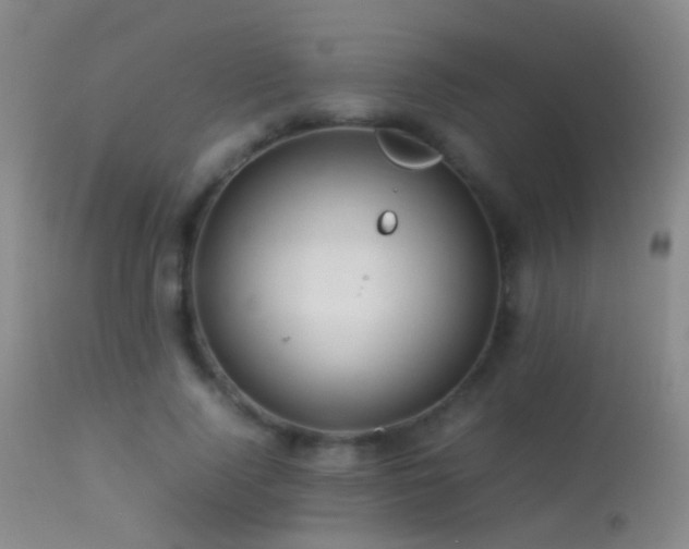 X0000113330740200909141426