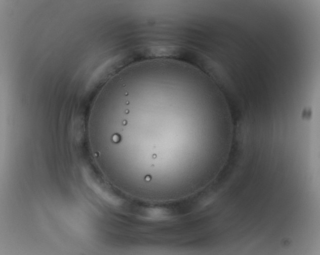 X0000113330741200909141426