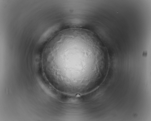 X0000113330742200909141426