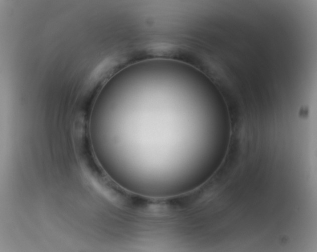 X0000113330744200909141426