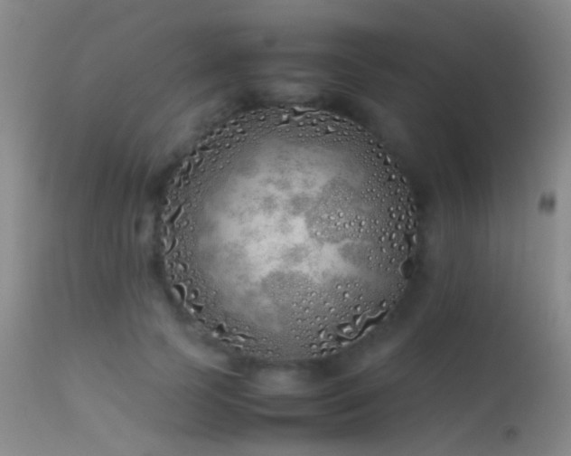 X0000113330745200909141426