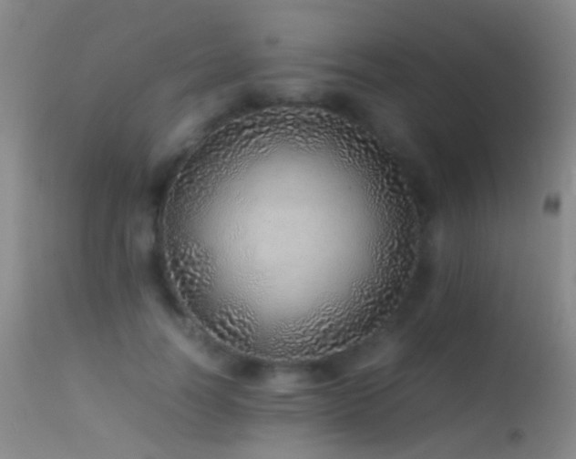 X0000113330746200909141426