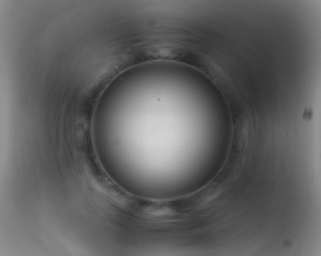 X0000113330747200909141426