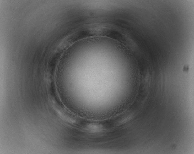 X0000113330749200909141426