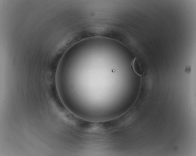 X0000113330750200909141426