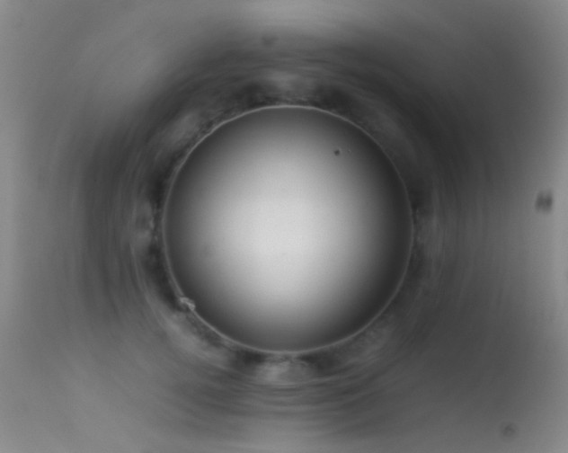 X0000113330752200909141426