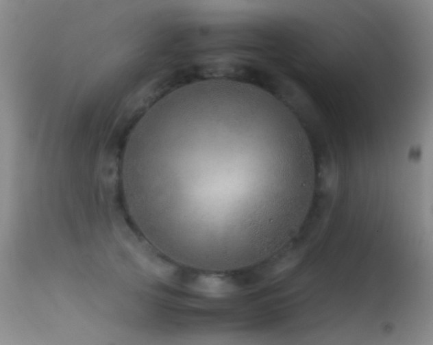 X0000113330753200909141426