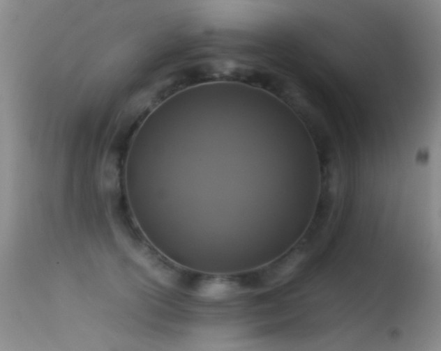 X0000113330754200909141426