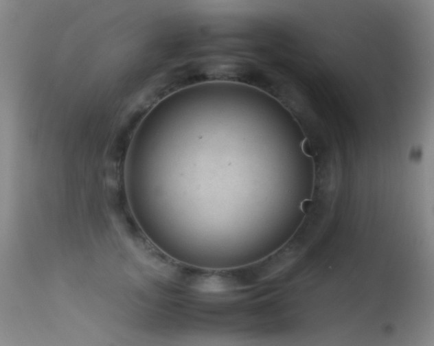 X0000113330755200909141426