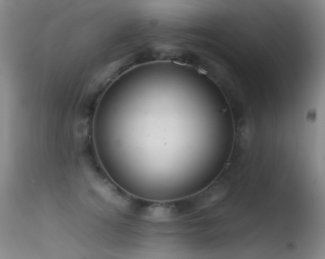 X0000113330756200909141427