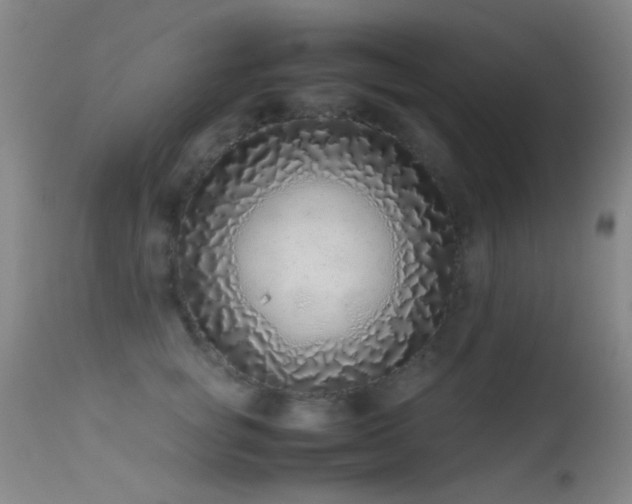 X0000113330757200909141427