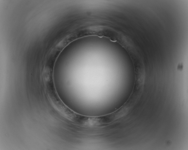 X0000113330758200909141427
