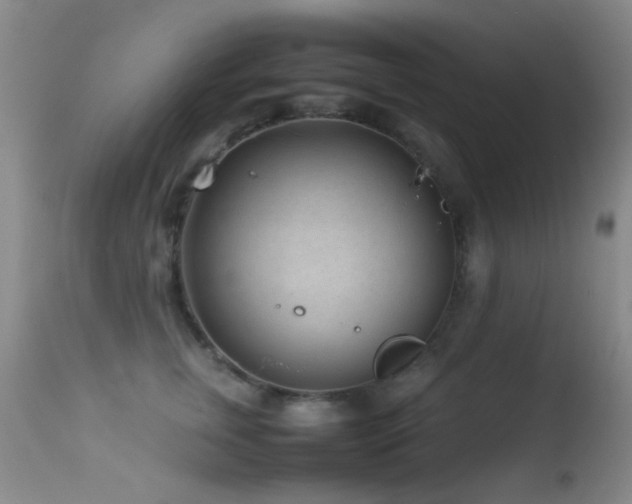 X0000113330759200909141427