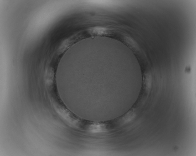 X0000113330760200909141427
