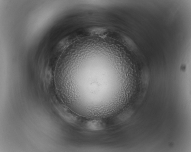 X0000113330761200909141427
