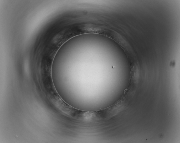 X0000113330762200909141427