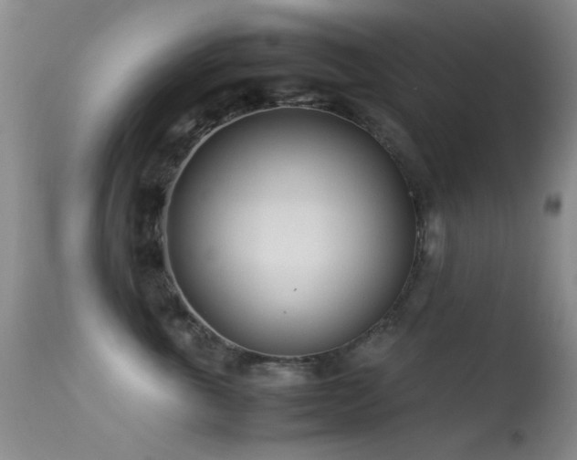 X0000113330763200909141427