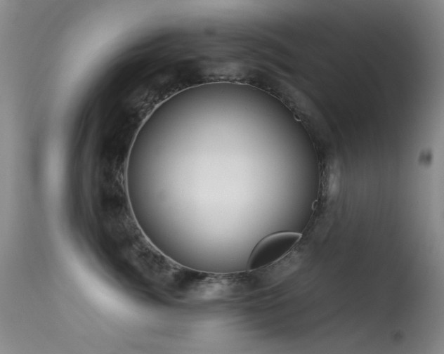 X0000113330764200909141427