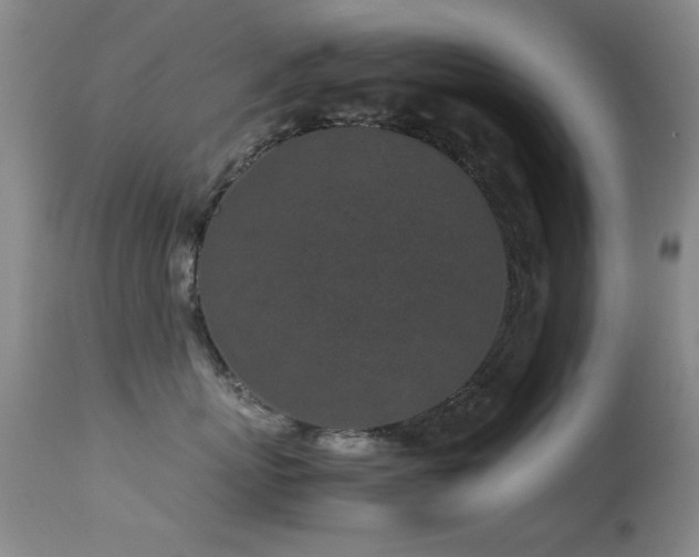 X0000113330767200909141427