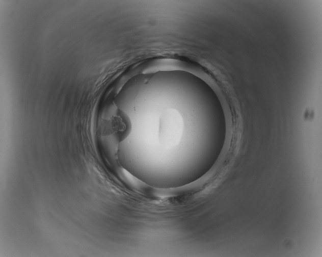 X0000113330768200909141427