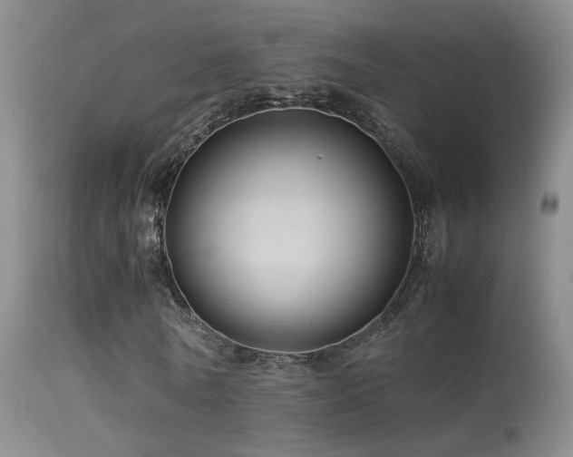 X0000113330770200909141426