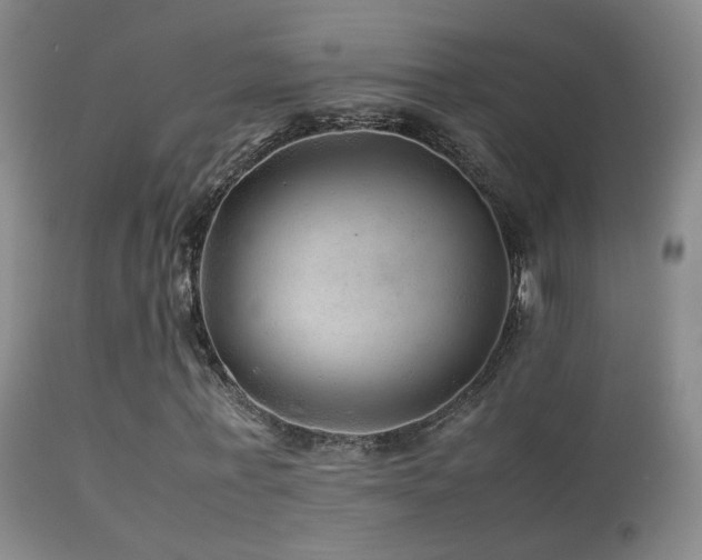 X0000113330771200909141426
