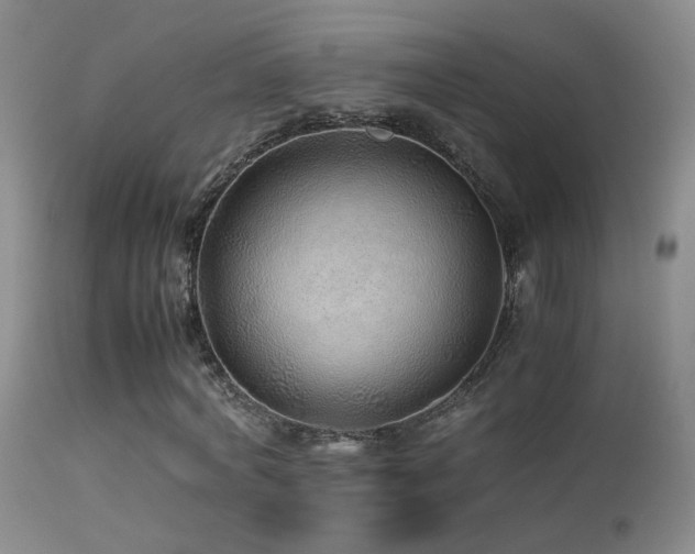 X0000113330772200909141426