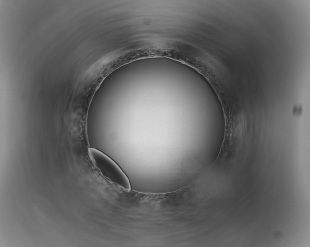 X0000113330773200909141426