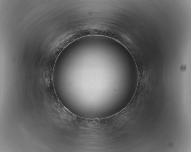 X0000113330774200909141426