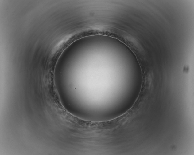 X0000113330776200909141426