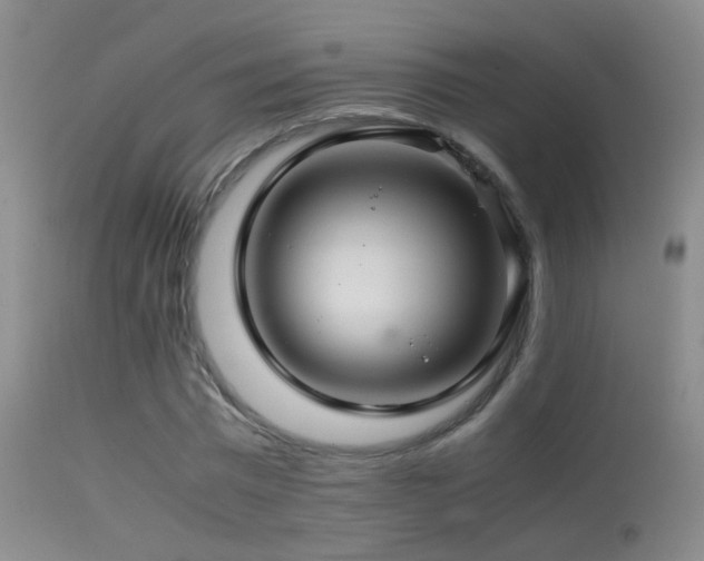X0000113330777200909141426