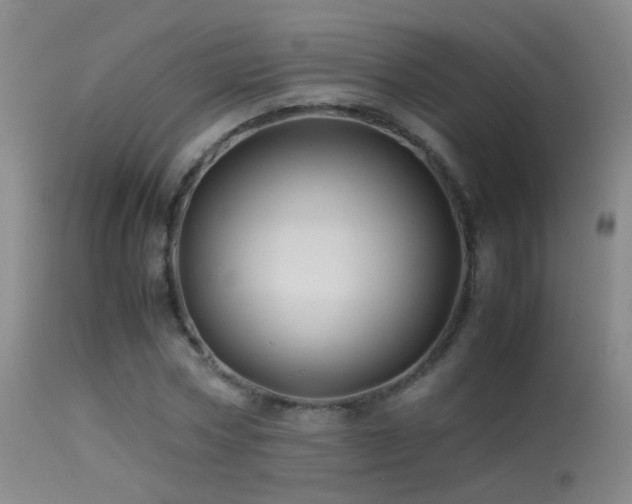 X0000113330778200909141426