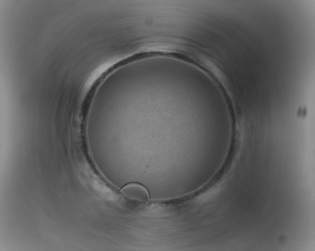 X0000113330779200909141426