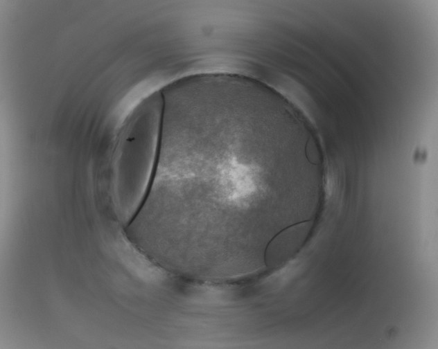 X0000113330781200909141426
