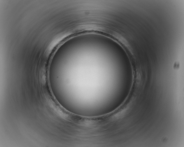 X0000113330782200909141426