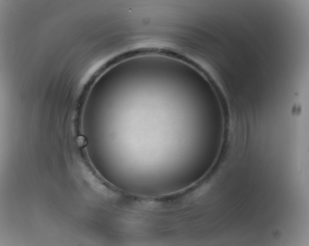 X0000113330783200909141426