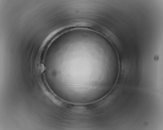 X0000113330784200909141426